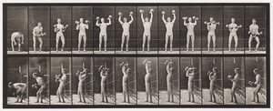 Plaque 322. Soulever et abaisser deux haltères de 50 lb - Eadweard Muybridge