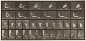 Planche 328. Aviron