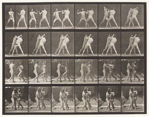 Planche 330. Boxe; Contre-croisé (Chaussures)