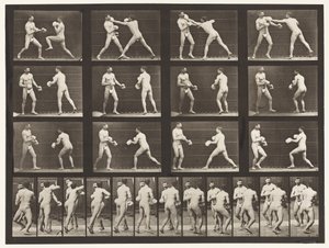 Planche 335. Boxe; Avec gants - Eadweard Muybridge