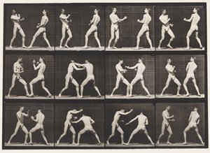 Boxe; main ouverte (chaussures) - Eadweard Muybridge