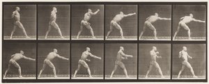 Planche 344. Donner un coup (main droite) - Eadweard Muybridge