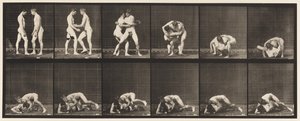 Lutte, Verrouillage, 1885 - Eadweard Muybridge