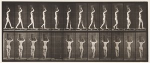 Planche 34. Marcher