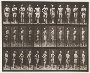 Planche 354. Porter les armes, repos de parade et traîner les armes - Eadweard Muybridge