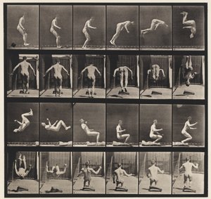 Saut Périlleux en Courant, 1885 - Eadweard Muybridge