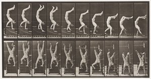 Acrobate, descendre les escaliers sur les mains - Eadweard Muybridge