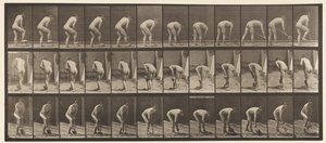 Planche 388. Fermier, utilisant une bêche, 1872-1885 - Eadweard Muybridge