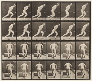 Pousser un Rouleau de Jardin, 1872-1885
