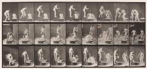 Planche 408. Deux modèles