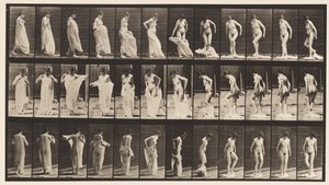 Plaque 431. Toilette; enlever des vêtements