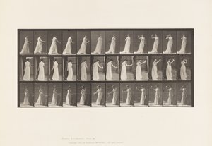 Planche 462. Versant une libation sur le sol, buvant dans une coupe, 1885