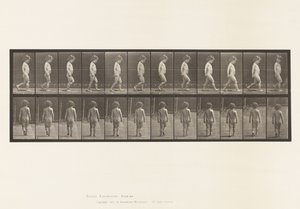 Planche 467. Enfant, marche - Eadweard Muybridge
