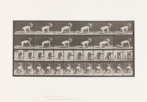 Planche 471. Enfant, rampant sur les mains et les genoux, 1885
