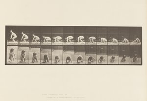 Planche 479. Enfant, se Relevant du Sol - Eadweard Muybridge