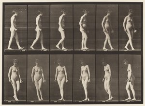 Planche 47. Marcher, et se retourner - Eadweard Muybridge