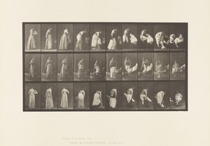 Planche 497. Phases diverses de la toilette, 1885