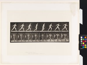 Planche 4. Marche
