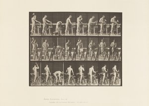 Planche 507. Charpenterie - Eadweard Muybridge