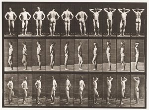 Planche 530. Diverses poses - Eadweard Muybridge