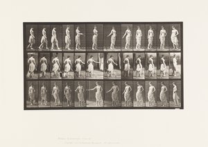 Planche 53. Marcher, disperser des fleurs et tourner - Eadweard Muybridge