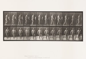 Planche 552. Hémiplégie; marche avec une canne, 1885 - Eadweard Muybridge