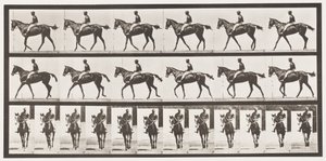Marche; Selle; Jument baie pur-sang Annie G., 1885 - Eadweard Muybridge