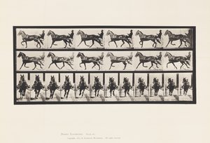 Planche 595. Balancer (Allure): Sulky; Cheval brun Pronto