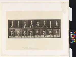 Planche 5. Marche