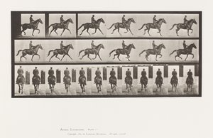 Planche 601. Trotter; Selle; Jument brune Beauty - Eadweard Muybridge