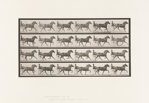 Planche 609. Trot; Sulky; Jument Bai, Lizzie M.