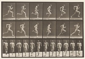 Planche 62. Courir à pleine vitesse