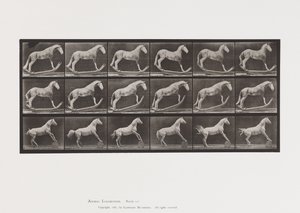 Planche 649.A, Frelon, Balançant; B, Aigle, Rouleau de Baril, Etc.