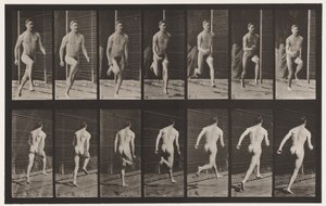 Planche 66. Courir