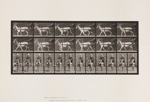 Planche 678. Chèvre; Trottant, en Sulky - Eadweard Muybridge