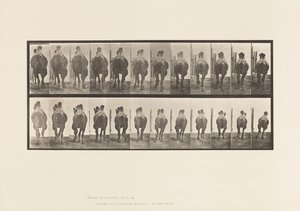 Planche 742. Chameau de Bactriane; A, Amblant; B, Galopant - Eadweard Muybridge
