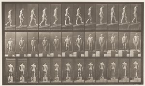 Planche 74. Montée inclinée, angle 1 sur 4