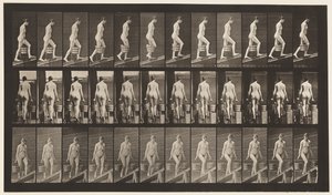 Plaque 81. Monter une pente - Eadweard Muybridge