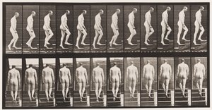 Planche 89. Monter les escaliers