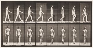 Planche 8. Marcher