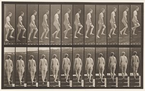 Planche 92. Monter des escaliers