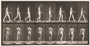 Marcher, 1872-1885