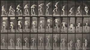  - Eadweard Muybridge