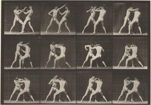 Planche numéro 340. Boxe, main ouverte (chaussures), 1887 (photo) - Eadweard Muybridge