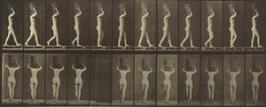 Planche numéro 34. Marchant et portant un panier de 15 livres sur la tête, les mains levées, 1887 (photo) - Eadweard Muybridge