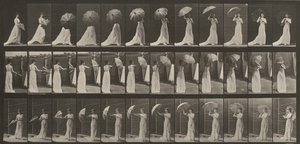  - Eadweard Muybridge