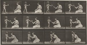 Planche numéro 465. Enfant apportant un bouquet à une femme, 1887 (photo) - Eadweard Muybridge