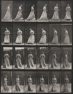  - Eadweard Muybridge