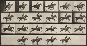  - Eadweard Muybridge