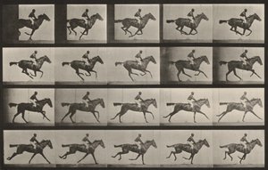  - Eadweard Muybridge